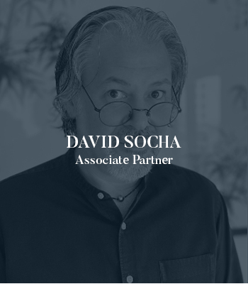 David Socha BRIM Partners